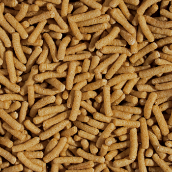 Koi & Goldfish Wheat Germ & Garlic Sticks 4kg -bag