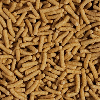 Koi & Goldfish Wheat Germ Sticks 1000ml/90g -bag
